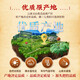 Magasin phare officiel authentique Yunnan Wenshan Sanqi Powder 18 pieds-pied spécial Pure Sanqi Powder Superfine Powder Tianqi Powder 250g G Sac cadeau