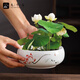 Jiuqianggu Céramique Pot de fleur narcisse bassin eau Lily bol lotus cuivre herbe hydroponique hydroponique fleurs d'élevage de fleurs de fleurs vertes pot avec base 3888