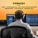 
Beyerdynamic DT880 PRO Head-mounted professional monitor headphones HiFi sound quality Must-have music recording and mixing reference professional recording studio Semi-open DT880PRO [250 UEFA]