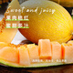Long-term cultivation sweet Korean reticulated Hami melon seeds Xinjiang melon fruit melon seeds seedlings spring southern four seasons seeds Xinjiang Huozhou honey 168 melon seeds 50g original