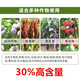 Pyraclostrobin 30% pyraclostrobin bacterial resin downy mildew powdery mildew anthracnose leaf spot rice blast fungicide 500g