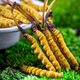 [Tibet Straight Hair] Authentic First Fresh Cordyceps 2025 Selected High Altitude Fresh Cordyceps SF Cold Chain 0.4-0.5gSpecifications 100 Roots