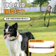 Outstanding Dog Collar Large Dog Dog Leash Medium Dog Dog Collar German Shepherd Labrador Golden Retriever Pet Collar Collar + Leash/Brown XL Code/85-120Jin Jin is equal to 0.5 kg within