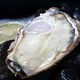 Fresh Jingcai Fresh Oysters 3XL Net weight 5Jin Jin is equal to 0.5kg 13-18 pieces Fresh to your home Fresh seafood Straight from the source