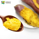 Jingxiansheng & Jiamei Serta Shandong Specialty Yellow Sweet Potato Sweet Potato Sweet Potato 5Jin Jin equals 0.5kg Export Grade Fresh Vegetables