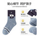 Bambi Children's Socks Children's Socks Boy's Combed Cotton Spring and Autumn Style Medium and Large Children's Autumn and Winter Boneless Mid-Tube Socks BB22544 Autumn and Winter Style Children's Socks 5 Pairs 3-5 Years Old Recommended Foot Sizes 21-26 Sizes 16-18