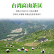 Pingming Oolong Tee Frozen Top Oolong Taiwan Gaoshan Tee ist in Ali -Geschenkkonserven neuem Tee mit starken Duftstyp gebraut werden. Zwei/2 Dosen starker Duft insgesamt 500 Gramm + Handtasche