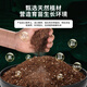 Dewoduo seedling special plant nutrient soil 25L gardening green plant flower soil flower soil planting soil composite organic matrix soil