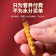 Tongfu Cordyceps sinensis 2 Wurzeln/g 50g etwa 100 Wurzeln Geschenkboxen, nahrhafte Nahrungsergänzungsmittel, Geschenke für Älteste