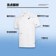 Nike (NIKE) T-shirt men's 2024 autumn men's short-sleeved lapel POLO shirt breathable casual tennis white pure cotton short-sleeved men FN3895-100/big/white L