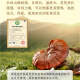 北京同仁堂破壁灵芝孢子粉 增强免疫力成人中老年人手术后恢复营养品灵芝粉 1盒 30g 【买2送1 到手3盒】