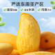 Baicao flavor dried mango 100g/bag dried fruits, preserved fruits, specialty foods, office snacks, snacks, snacks and baking