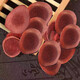 Deer antler tablets authentic deer antler blood tablets Jilin sika deh velvet blood tablets Changbai mountain bubble wine medicinal material whole sliced ​​sliced ​​male soup, tea bubble water nourishing health antler tablets [50 grams]