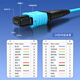 Zhongke Optoelectronics MPO-MPO Fibre Parmor OM4 Multimode Fiber Cluster Cluster Span 550 40G / 100G Câble fibre compatible avec MTP, Polarité personnalisable MPO à MPO 24 Core Femelle à Feme