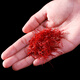 Linshitang Saffron Zang Saffron 1g soaked in water saffron Special Tibet [10g] Saffron