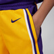 耐克（NIKE）官方男童洛杉矶湖人队ICON NBA大童速干短裤FZ1187 728阿马里洛黄/洛杉矶湖人队 140 S