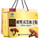 Korrigieren Sie die gebrochene Wand Ganoderma lucidum Sporenpulver, um die Immunität zu verbessern. Offizielle authentische Filialen Flaggschiff 1 Box