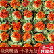 Pékin Tongrentang Tibetan Saffron Fleur et fruits nouveaux matériaux médicinaux chinois fruits séchés au safran d'eau de thé Plantation de safran Fleur entière 500 grammes de fleur de safran et de fruits (nouvelles fleurs grandes)