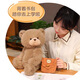 WELTSTON teddy bear doll plush toy doll doll pillow birthday gift girls gift teddy bear backpack