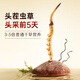 Ayishe Cordyceps Sinensis New Dried Cordyceps 3-4 roots/g 15g approximately 48 cordyceps gift box nutritional products for elders