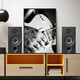 Illumina (ELAC) Debüt2.0 Serie DB52 HiFi Passive Buchhandlungslautsprecher Fever Grade High Fidelity Passive Lautsprecher Desktop HiFi Audioverstärker Set 5,25 Zoll DB52 Walnuss -Walnuss -Paar