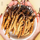 Lei Yunshang [Mid-Autumn Festival Gift] [Naru Qu, Tibet] Cordyceps gift box High-altitude Dried Cordyceps Gift High-end Wooden Gift Box Authentic Tibet Nagqu 3A-level 10g