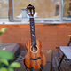 
Gerila ukulele female adult beginner girl model 2002R Queying full board small guitar student introduction [2002] 23-inch full single retro color