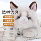 Cometa trapo Ragdoll Cat Plush Toy Doll Doll Doll Adornos almohada Valentín de San Valentín Regalos de curación para novia