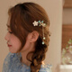 Enchanting Cat Ancient Style Hairpins for the Back of the Head 2025 New High-end Hairpins and Headgear Grippers for Women Birthday Gifts for Girls Practical Sweet and Cute Hair Accessories Five-piece Set-Gift Box 1-piece Set