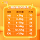 大黄鸭尿裤纸尿不湿新生婴儿nb码尿布湿弱酸低敏尿裤S码经典系列 腰贴型经典系列纸尿裤 纸尿裤XL12-17kg（46片一包）