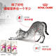 Royal Adult Cat Food Intestine Comfort EP42 General Food 400g for more than December