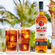 百加得（Bacardi）白橡木心金8年黑朗姆酒烘焙莫吉托mojito750m 【百加得白】* 750mL 1瓶