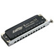 
Oriental Ding EASTTOP Introduction to Advanced Medium and Advanced Performance of Chromosonic Harmonic 12-hole Harmonic for Adult Beginners 12-hole T1248K New Gold Dreamer