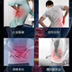 ZHISHU self-heating belt waist circumference waist support waist disk herniation lumbar muscle labor magnetic therapy belt heating belt + magnet + support plate