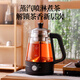 Royalstar tea kettle, health kettle, spray type kettle, kettle, electric kettle, steaming tea kettle, tea steaming kettle, tea kettle, stove, 1L 99% recommended - high-end thermal insulation model, explosion-proof kettle body