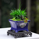 Yuxuantang Chinese ink style ceramic retro flower pot household desktop succulent pots Wenzhu June snow Clivia landscape pot YYX1429 with base