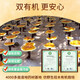 Qiaokang Breaking Wall Ganoderma Lucidum Spore Powder 50g für Menschen mittleren Alters und ältere Menschen zur Verbesserung der Immunität, hohe Triterpene 10,5% organisch gepflanzte Jinzhai 4 Kisten (6 Boxen mit 300 g insgesamt)