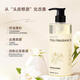 Camellia anti-dandruff shampoo for men and women, long-lasting fragrance, refreshing and clean [style packaging shipped randomly] Camellia shampoo 500mlx1 bottle