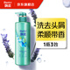 Flancez du shampooing anti-dandroff à parfum pour hommes et femmes Dance Dance 530g Shampooing Fragrance Shampooing for Hair Cream