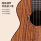瑞声（Realsun）相思木全单尤克里里AS/AC/AT200乌克丽丽初学者成人小吉他弹唱 26英寸AT200【电箱版+琴盒】