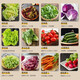 
Qianniu Youfu Vegetable Salad Set 150g-690g Fresh mixed lettuce Light Food Fitness Paired with Ingredients Instant Chicken Breast 3 Bags of Vegetables [No Sauce]