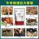 YEE calf skeleton feed agent for cattle and sheep rapid fattening, rumen treasure for calves, calf premix 1 bag