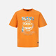 
EVISU [Multiple Fold] Gradient color home floral print men's T-shirt men 2ESHTM3TS702XXCT brick color XL