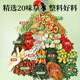 Mingyuan Qingqian Liu Corn et raser le thé de la feuille de mûrier Pueraria Racine baisse du sucre, l'aubépine, trois pression lipidiques à sang élevé et un coffret cadeau pour le thé de la santé âgée 30 canettes 540G [Conditionnement du cycle] [Rejeter trois sommets]