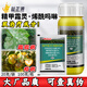 Bayer German Silver Farley Fluorobacterium propamoylcarb vegetable cucumber downy mildew late blight imported pesticide fungicide Yifan 24% refined methacryloylmorpholine 100ml