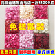 Simulated rose petals arrangement, wedding fake flower decoration, proposal, birthday confession, stage props, wedding hand-spreading flowers, no rubbing, wine red, 1Jin Jin equals 0.5kg, about 8000 pieces