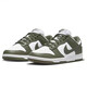Nike Nike Board Shoes Zapatos casuales de mujeres zapatos deportivos DD1503-120 Olive Green 35.5
