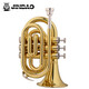 Jinbao Jinbao JBMT-500 B-Flat Palm Number Instrument Anfänger Spielen GOLD Western Windinstrument Jinbao JBMT-500 B-Flat Palm Nummer