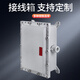 Explosion-proof distribution box BXJ explosion-proof wiring empty box instrument power supply control shell maintenance power 300300150 explosion-proof type