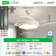 Daguanyuan (DGY) Lüfter helles Schlafzimmer Leicht neuer Stil unsichtbarer Stil, moderner einfacher nordisches Hauptschlafzimmer -Raum -Fan integrierte Lampe 687o Kronleuchter 42 Zoll - Offline -Stimme - 36W - Volles Spektrum